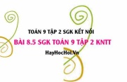 Bài 8.5 SGK Toán 9 tập 2 Kết nối tri thức